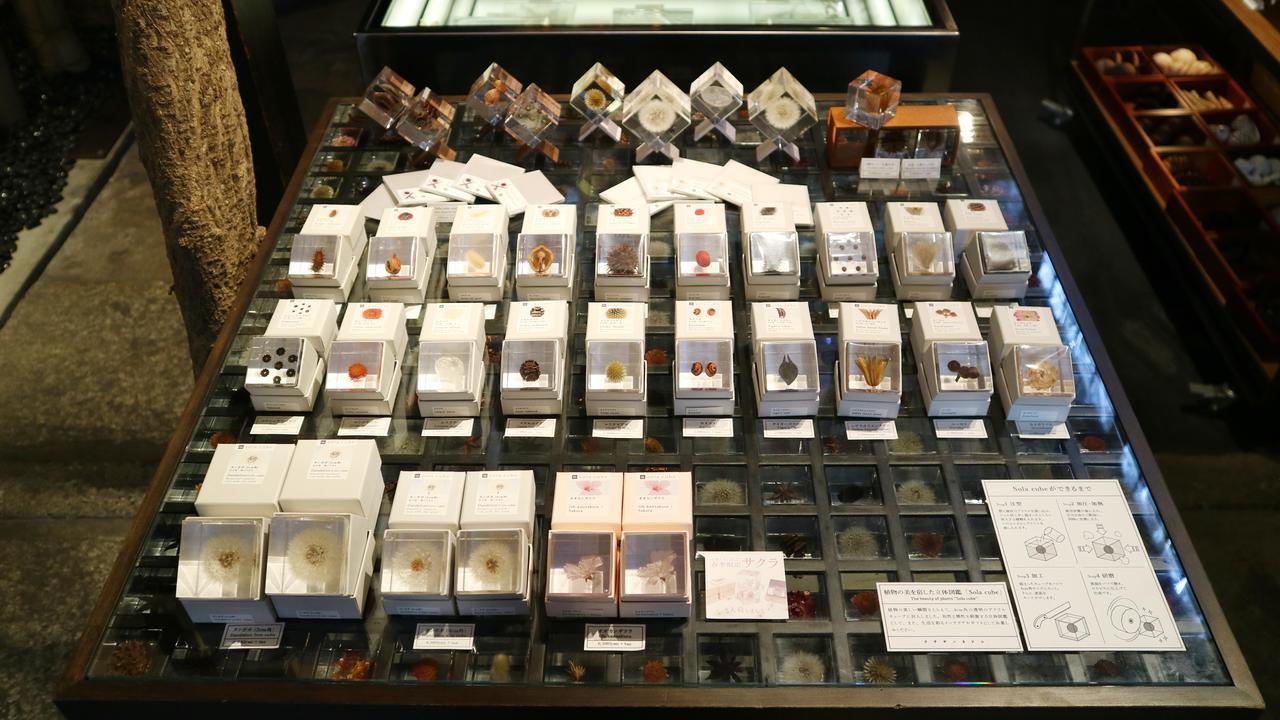Usaginonedoko Kyoto Extérieur photo